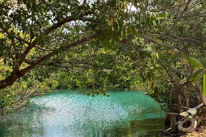 Small-Group 3 Cenotes Adventure Tour - Casa Cenote: your first hit of open-air magic (and an easy way to start snorkeling)