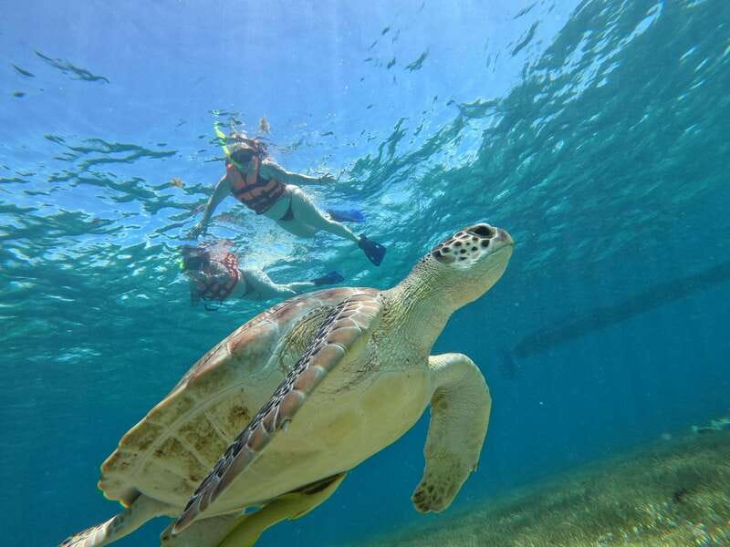 SNORKEL IN TULUM REEF, BOAT RIDE AND CALETA - Key things to know before you go