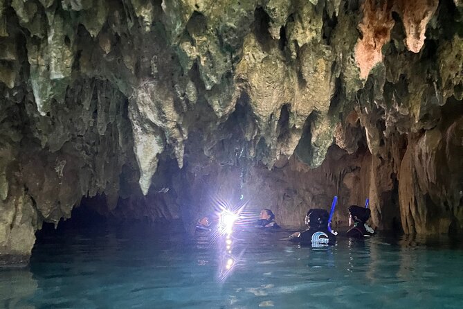 Snorkeling Activity in a Cenote Expedition - Casa Cenote Stop 1: Open Water, Wildlife, and Easy Orientation