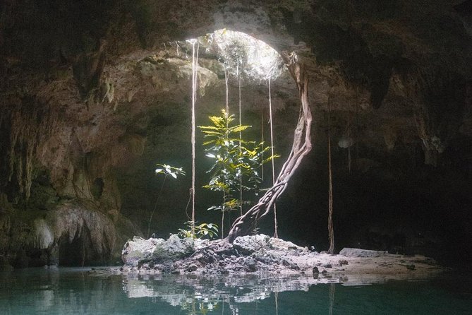Snorkeling Adventure Tour Reef & Cenote - Casa Cenote and the Ecosystem Switch Between Stops