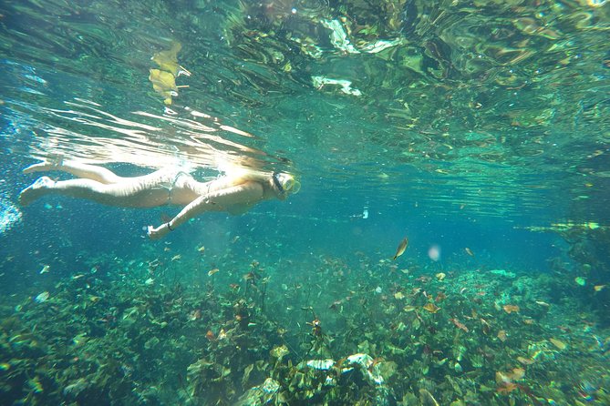 Snorkeling Adventure Tour Reef & Cenote - Lunch, Snacks, and the Small-Group Advantage