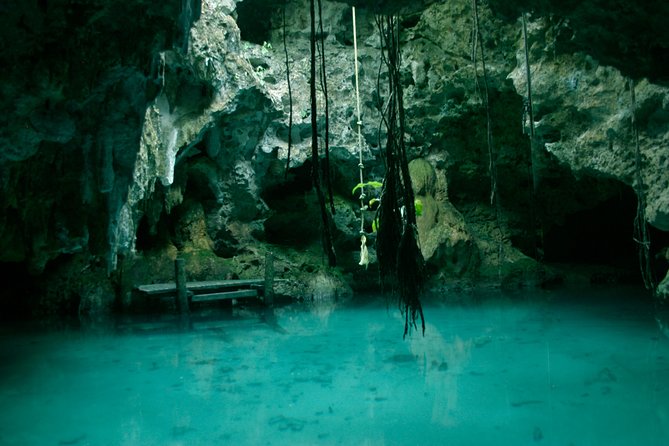 Snorkeling with Caribbean fish and private cenote exploration - What to Bring, Wear, and Know Before You Go