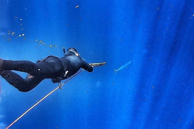 Spearfishing Playa del Carmen or Tulum - Depth, Visibility, and Gear: Where the Experience Can Swing