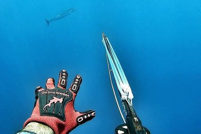 Spearfishing Playa del Carmen or Tulum - Guide Attention and Kill Shots: Safety vs. Performance