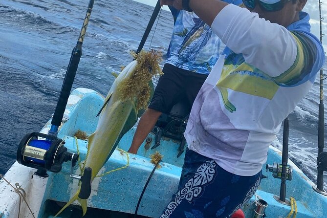 Sport Fishing in Tulum - On the Water: How the Trip Handles Gear, Bait, and Casting Time