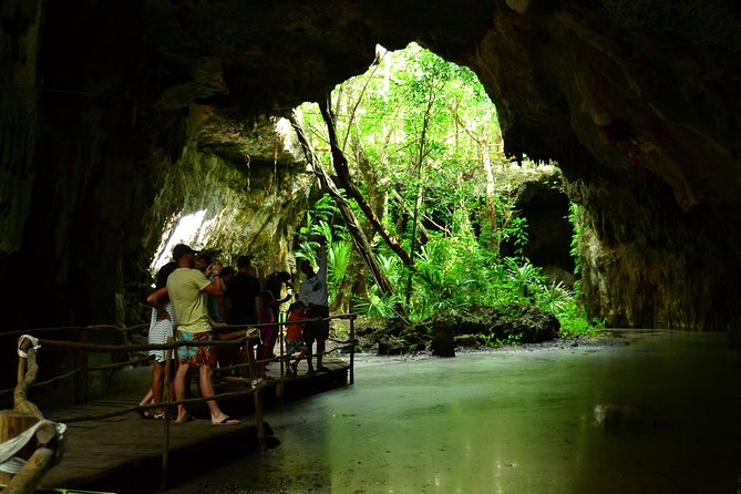 Tortugas & Cenotes Snorkel With Turtles Tour - Cenote formations and underground river time: why this stop feels different