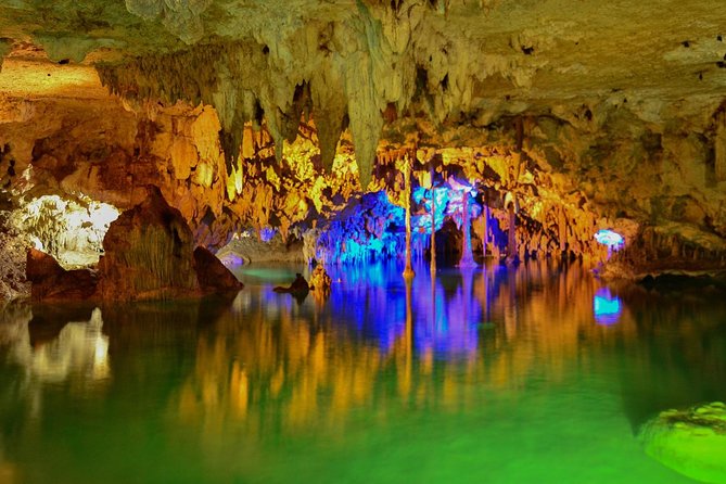 Tortugas & Cenotes Snorkel With Turtles Tour - Food, drinks, and the small money surprises to plan for