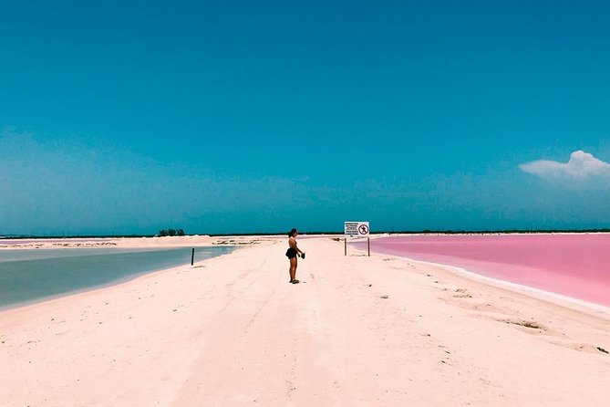 Tour Las Coloradas & Rio Lagartos only from Tulum - Key things to know before you go