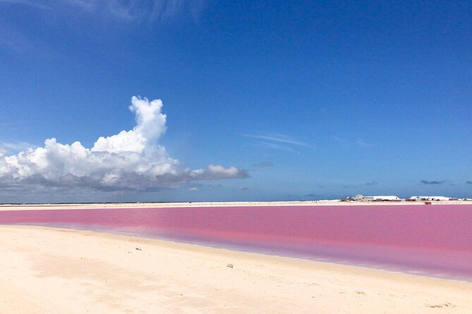Tour Las Coloradas & Rio Lagartos only from Tulum - Guides: the names that came up and why it matters