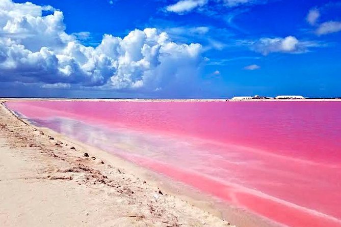 Tour Las Coloradas & Rio Lagartos only from Tulum - The tough part: transport comfort and group behavior on shared rides