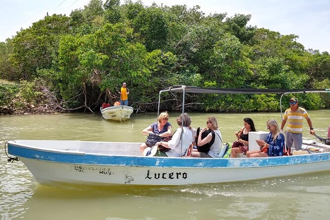 Tour Las Coloradas & Rio Lagartos only from Tulum - Price and value: what $110 really buys, plus the $27 government fee