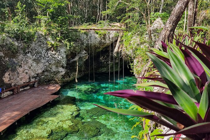 Tour to Coba Tulum and Cenote with Buffet from Tulum - Cobá and Nohoch Mul: the climb you’ll remember