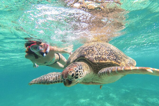 Tour to Tulum and Cenote Swimming with Turtles from Tulum - Key things I’d lock in before you go