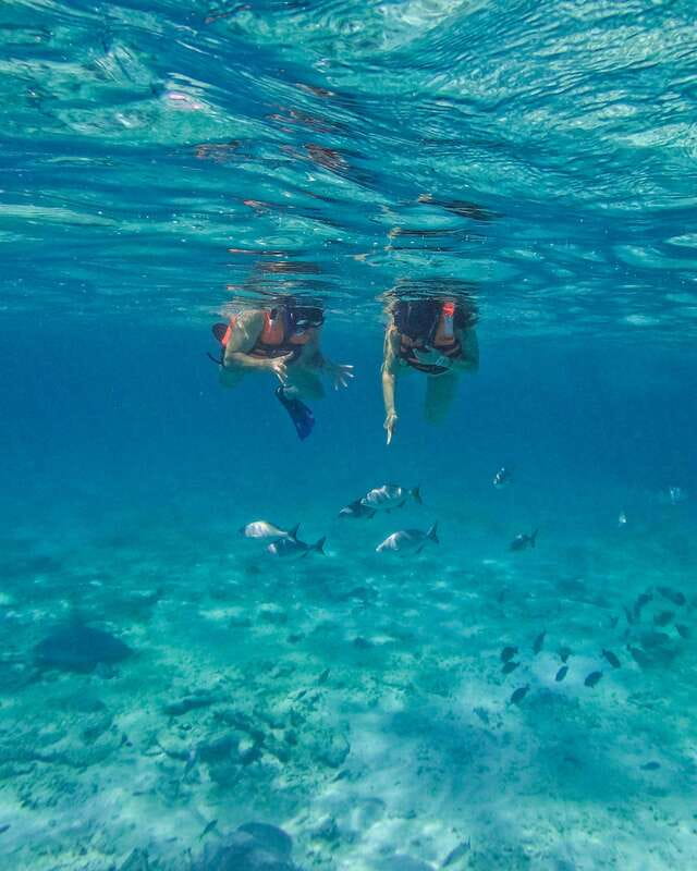 Tulum: 2-Hour Snorkeling in Two Spots of Tulum's Reef - Key things you’ll notice on this Tulum Reef snorkeling trip