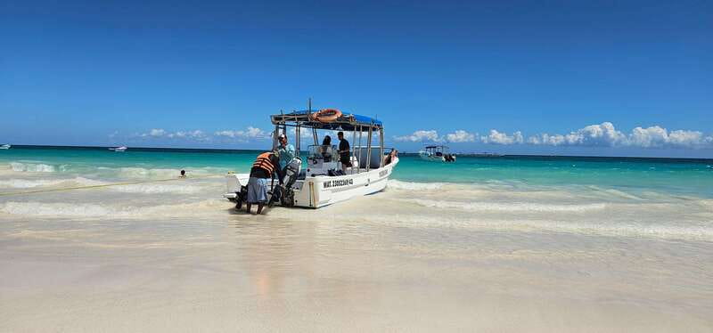 Tulum: 2-Hour Snorkeling in Two Spots of Tulum's Reef - First snorkel stop: where turtles and stingrays become the main event