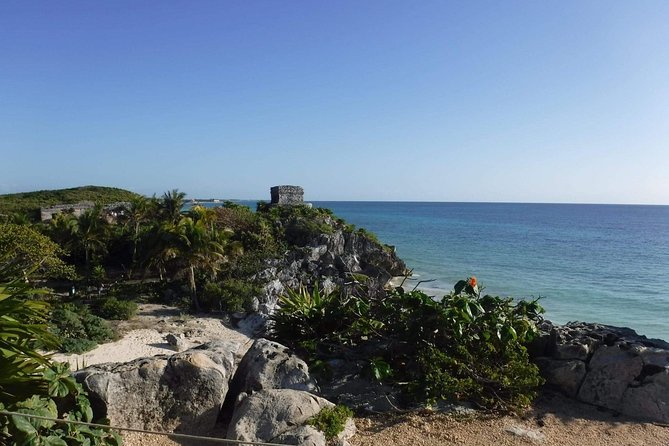 Tulum Adventure (Private, Full Day) - Price and value: is $239 a fair deal for a private day?