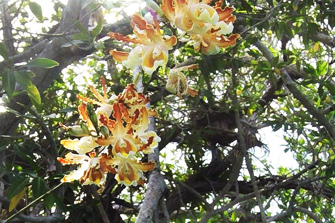 Tulum Archaeological Site & Sian Ka'an Muyil Tour from Tulum - The Taco Stop in Tulum: Fuel That Keeps the Day Smooth