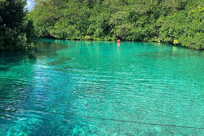 Tulum Area Experiences Guided 2 Tank Scuba Dive Casa Cenote & Barrier Reef-Lunch - Timing, meeting point, and pickup: how to avoid a stressful start in Tulum