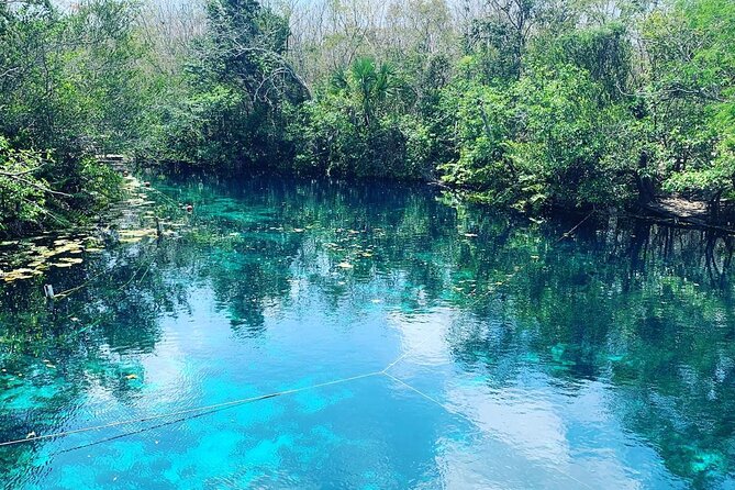 Tulum Area Experiences Guided ATV Tour to 3 Cenote's, Snorkel/Swim & Local Lunch - Should You Book This Guided ATV Cenote Tour?