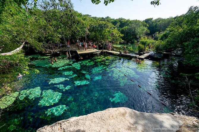 Tulum Area Experiences Guided E-Bike Tour- 3 Cenote's Snorkel/Swim & Local Lunch - Stop 2: Cenote Cristal, then a Mayan lunch break