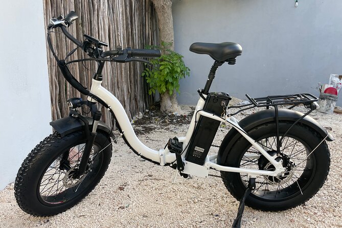 Tulum Area Experiences Guided E-Bike Tour- 3 Cenote's Snorkel/Swim & Local Lunch - Stop 3: Cenote Cristal and Escondido for a second swim mood