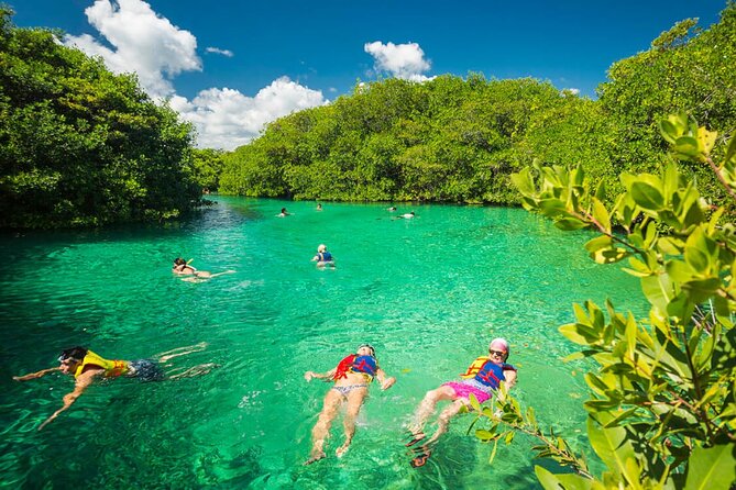 Tulum Area Experiences Guided Snorkeling Tour - Casa Cenote + Ocean Reef & Lunch - Price and Value: What You’re Paying For (and What You Get)