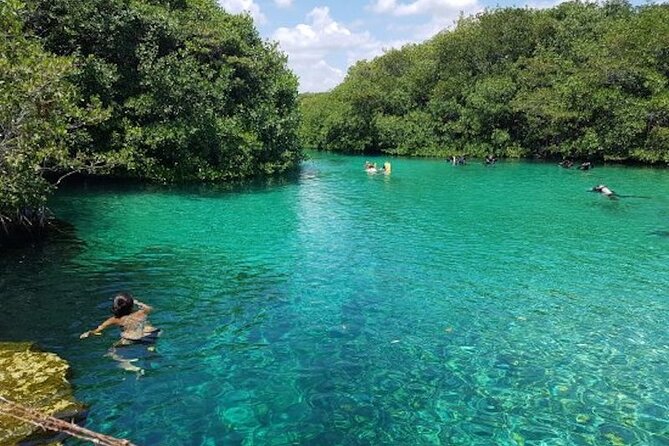 Tulum Area Experiences Guided Snorkeling Tour - Casa Cenote + Ocean Reef & Lunch - Ocean Conditions: The One Thing You Can’t Control