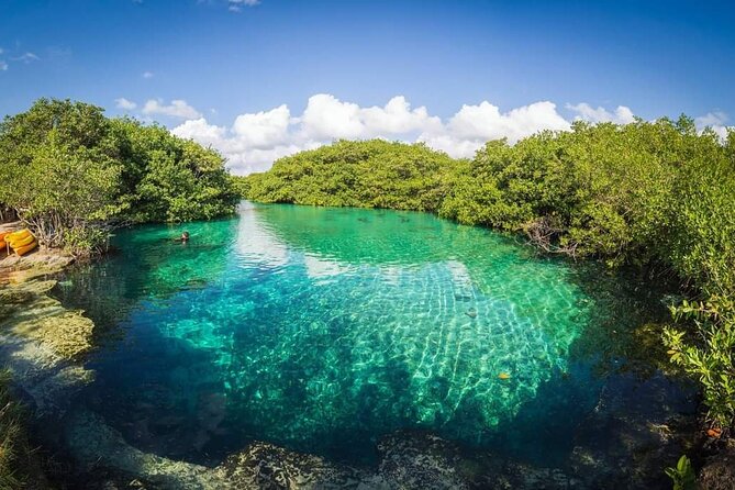 Tulum Area Experiences Guided Snorkeling Tour - Casa Cenote + Ocean Reef & Lunch - Guides That Actually Run the Trip: Ricardo, Paco, Carlos, Julieta