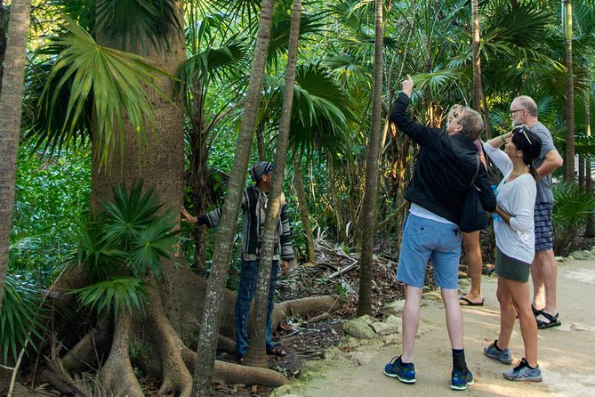 Tulum Bike Tour Tulum Maya Ruins Cenote Swimming Pueblo History Art Tacos Lunch - Bee foundation and honey: the local side most people miss
