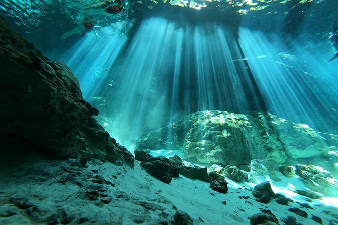 Tulum cenote diving. The ultimate experience in scuba - Health Questions, Certification Checks, and Cave-Swim Reality