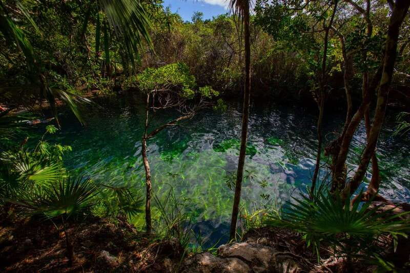 Tulum: Cenote Trail Bike Tour - Cenotes stop by stop: what the water time feels like