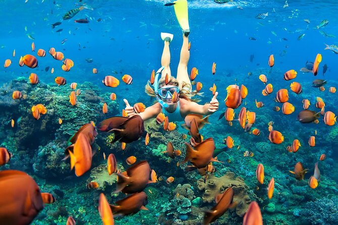 Tulum Day Trip: Pyramids + Reef Snorkel & Cenote Swim - Who this tour suits best