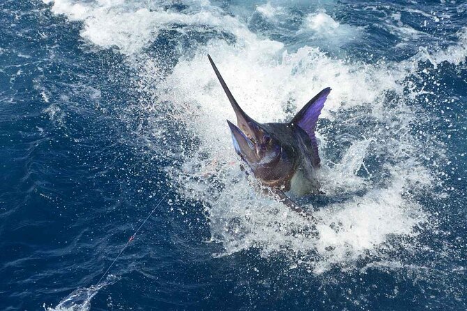 Tulum Deep Sea Fishing Tour - Price and value: what $499 really buys you