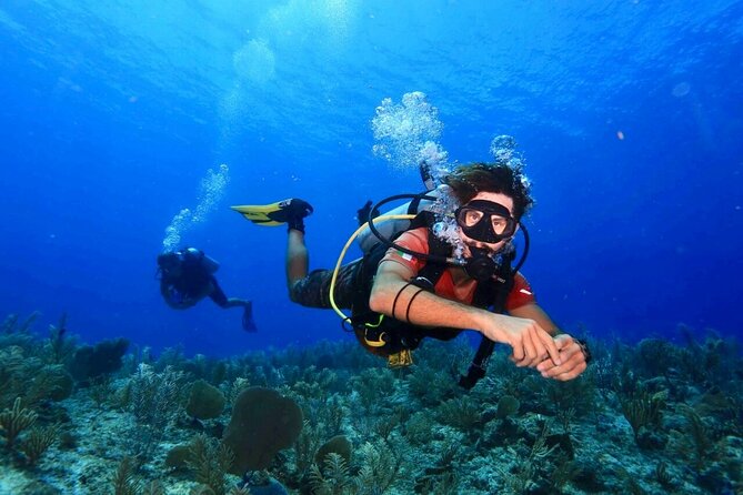 Tulum Diving (Reef) 2 Tanks - Key points to know before you go