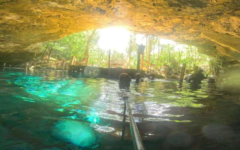 Tulum: Dos Ojos Cenote 2 Scuba Dives with Transfer Option - Transfers and meeting points: pick the option that reduces friction