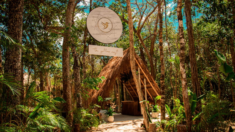 Tulum: Floating Breakfast in The Yellow Nest (Day Pass) - Your welcome drink and the start-of-day comfort