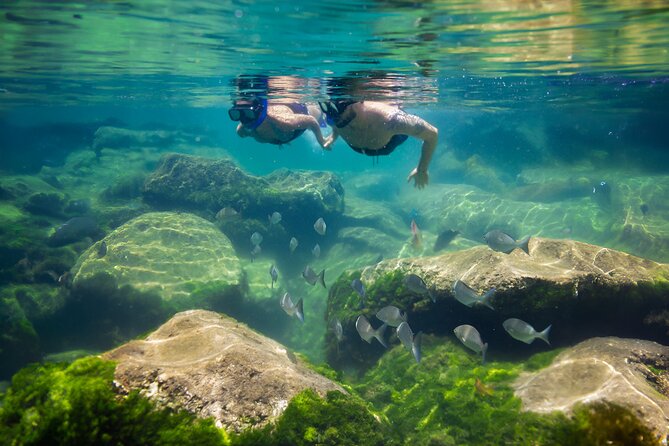 Tulum Guided Tour, Magical Cenote, Lagoon Snorkeling and Beachside Lunch - Who should book this Tulum cenote and snorkeling tour?