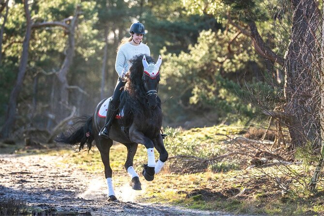 Tulum Jungle Horseback Ride + ATV + Ziplines + Cenote Combo Tour - Price and what you really get in 5 hours
