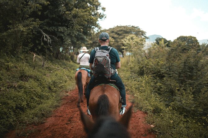 Tulum Jungle Horseback Ride + ATV + Ziplines + Cenote Combo Tour - Four zip lines plus a short rappel: adrenaline with real limits