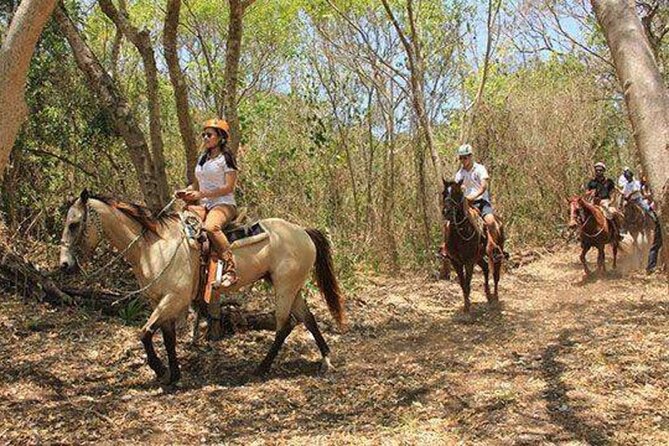 Tulum Jungle Horseback Ride + ATV + Ziplines + Cenote Combo Tour - Equipment, guides, and how tips show up on a jungle day