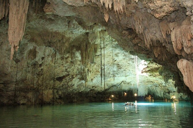 Tulum Jungle Horseback Ride + Cenote Dip & Traditional Lunch - Lunch and Bottled Water: The Value Check