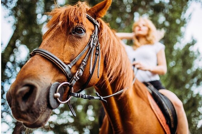 Tulum Jungle Horseback Ride + Cenote Dip & Traditional Lunch - Price, Group Size, and Comfort: Is $109 Fair for 4 Hours?