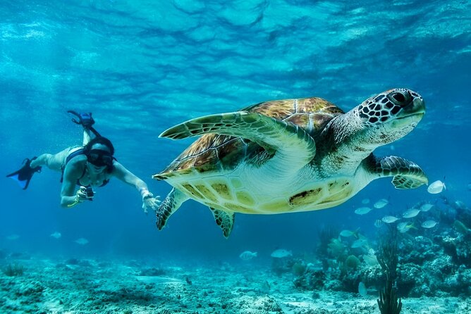 Tulum Mayan Ruins and Snorkeling with Turtles at Akumal - Pickup, Timing, and What to Pack for a Smooth Day