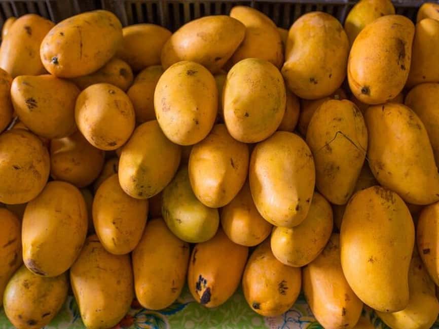 Tulum: Mexican Cooking Class in Local Home - Price and Value at $99: What You’re Really Paying For