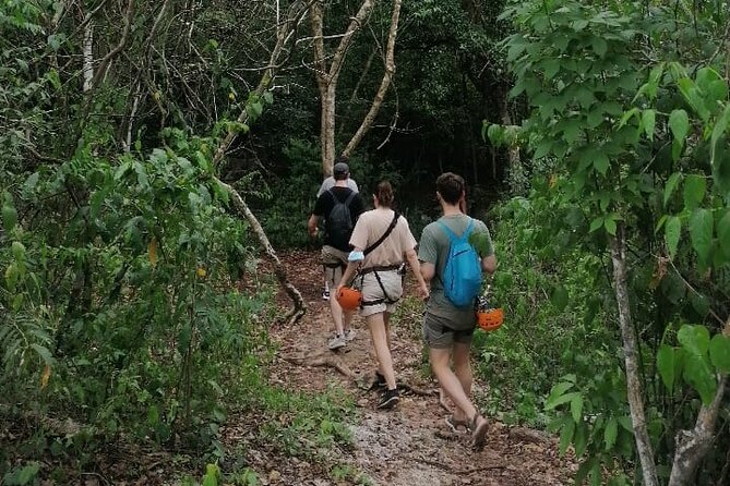 Tulum Monkey Sanctuary Tour Punta Laguna - Entering Punta Laguna’s “Real Jungle” Vibe
