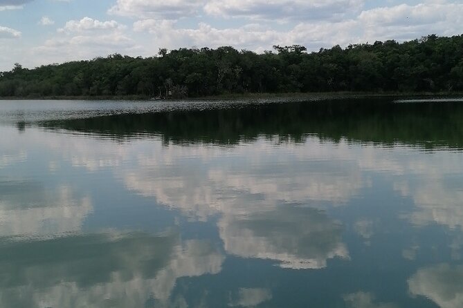Tulum Monkey Sanctuary Tour Punta Laguna - The Practical Side: What to Expect During the Afternoon