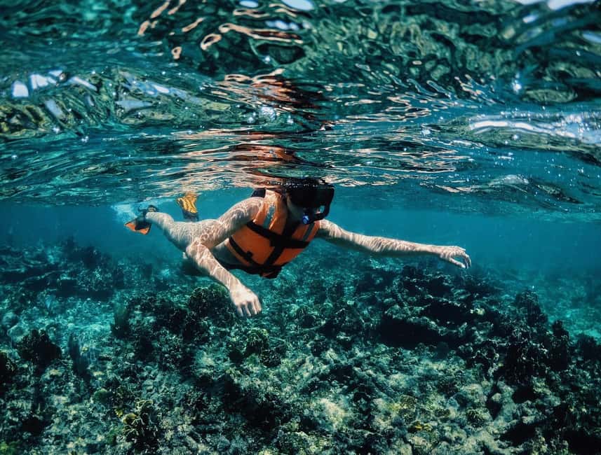 Tulum: Private Snorkel and Sailing Experience - Back on land at Pocna: Snack, juice, and park-style time