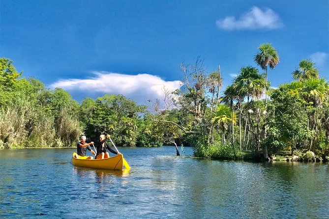 Tulum Ruins and 3 Cenotes - Jungle Adventure - Guides Matter: What to Look For (and How to Choose the Right Day)