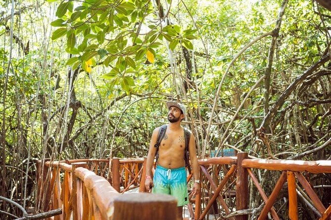 Tulum Ruins & Casa Tortuga Eco Tour! 4 Cenotes from Tulum City - Price value: what $151 buys, and what costs extra
