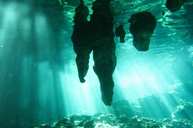 Tulum Ruins & Cenote guided private tour from Tulum and Riviera Maya. - Cenote time: snorkeling in a dark, tight world (yes, it can feel intense)